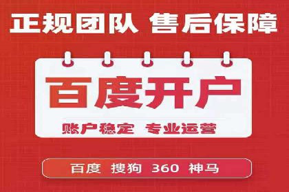 搜索引擎营销（SEM）竞价策略案例